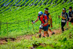 BIB: 
                            <button type="button" onclick="openModal(19163275)" class="btn btn-primary btn-sm float-right btn-popup" data-toggle="modal" data-target=".modal-high-quality">
                        <i class="fas fa-shopping-cart"></i> Add to Cart
                    </button>
                                            <button type="button" onclick="isThisMe(19163275, true)" class="btn btn-success btn-sm float-right btn-popup btn-isme hidden" data-toggle="tooltip" data-placement="bottom" title="นี่คือรูปของคุณใช่ไหม คลิกที่นี่เพื่อเอาเข้าอัลบั้ม">
                        <i class="fas fa-plus"></i> Add to album
                    </button>
                    <button type="button" onclick="isThisMe(19163275, false)" class="btn btn-warning btn-sm float-right btn-popup btn-isnotme hidden">
                        <i class="fas fa-ban"></i> Remove from album
                    </button>